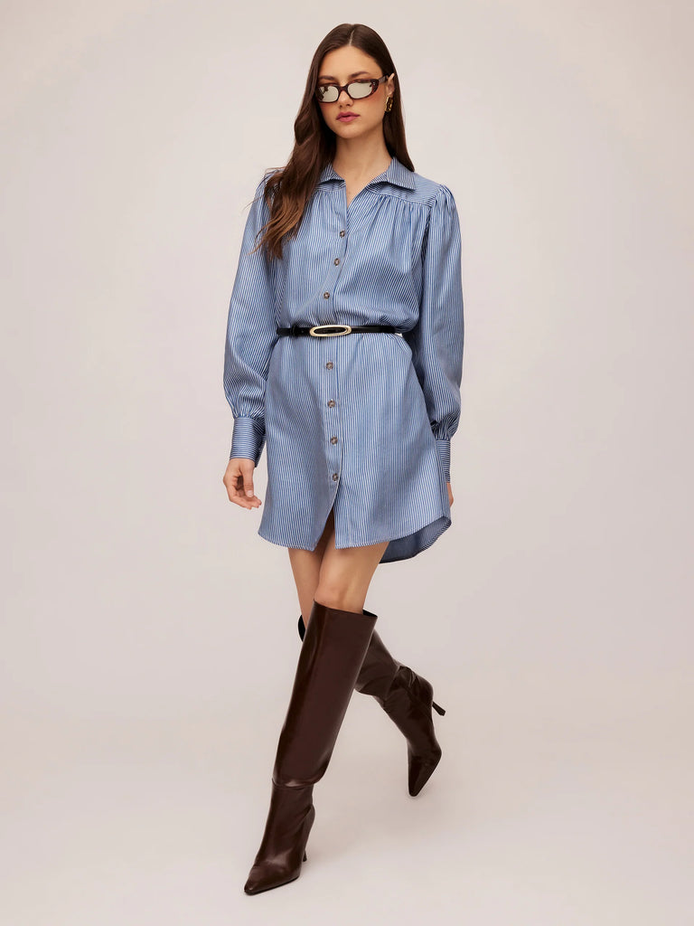 Natalia Shirtdress