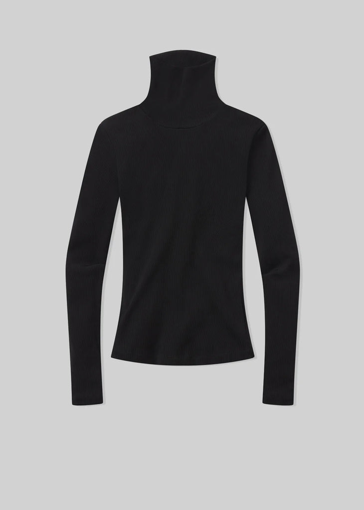 Caradene Turtleneck