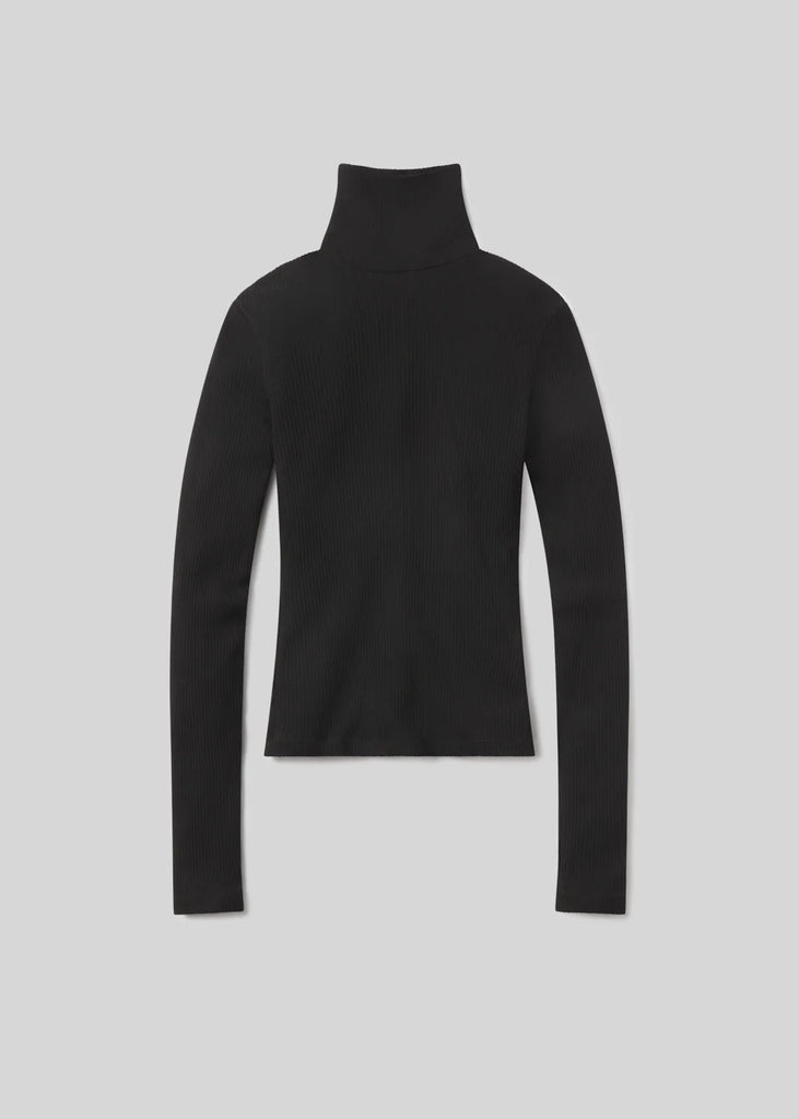 Caradene Rib Turtleneck
