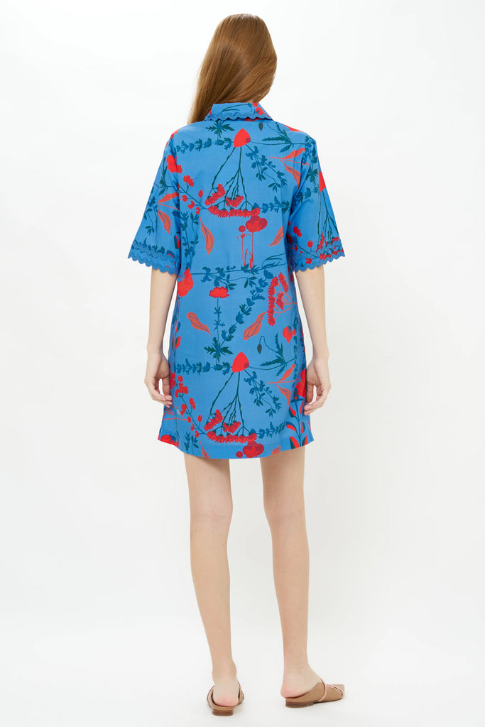 Collard Shirt Dress Mini