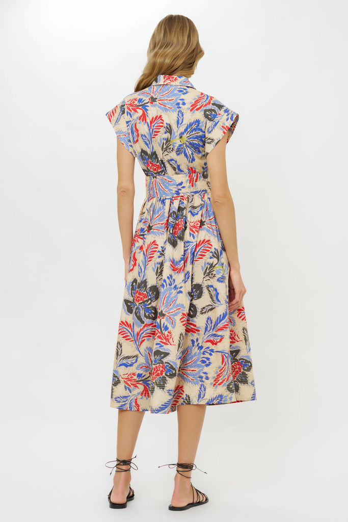 Belted Shirt Dress