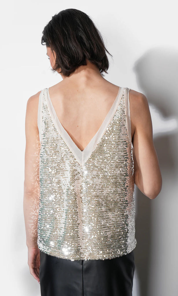 Ivy V Neck Velvet Sequin Top